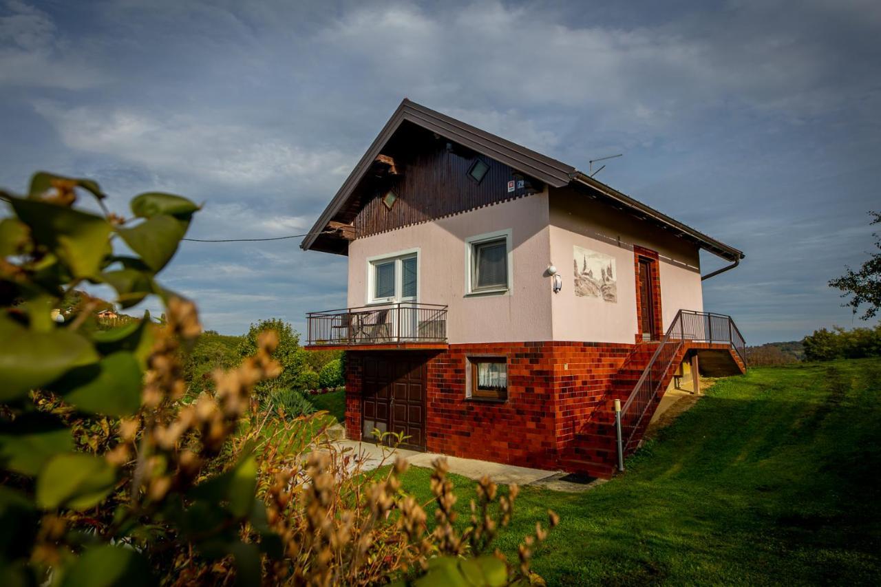 Kuca Za Odmor Martin Villa Sveti Martin Na Muri Bagian luar foto